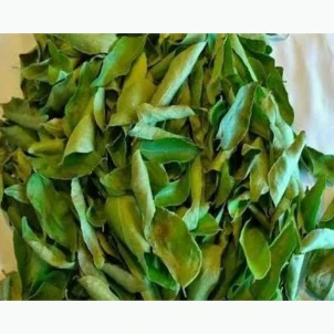 FRESH CURRY LEAF – 1 bunch 40g wholesale product